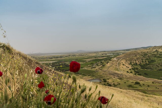 República Árabe Siria