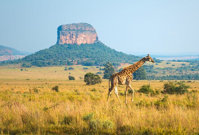 Sudáfrica
